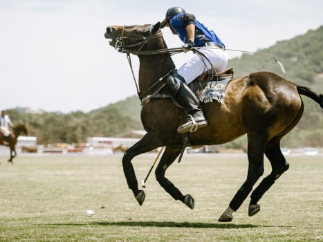 SF International Polo Classic at Cerro Pampa Polo Fields. Petaluma, CA