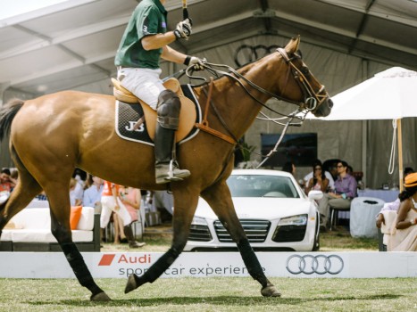 SF International Polo Classic at Cerro Pampa Polo Fields. Petaluma, CA