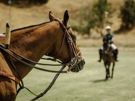 SF International Polo Classic at Cerro Pampa Polo Fields. Petaluma, CA