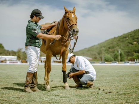 SF International Polo Classic at Cerro Pampa Polo Fields. Petaluma, CA