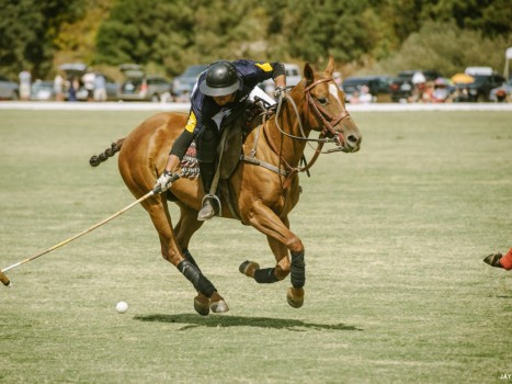 SF International Polo Classic at Cerro Pampa Polo Fields. Petaluma, CA