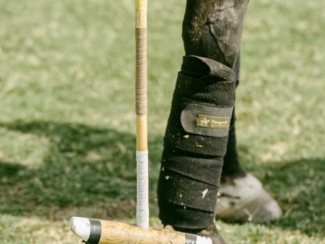 SF International Polo Classic at Cerro Pampa Polo Fields. Petaluma, CA