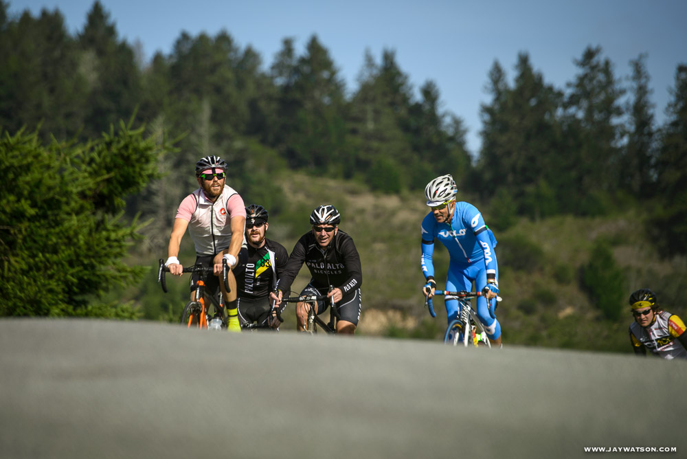 Climbing through Pescadero to the coast with a backdrop of redwoods.