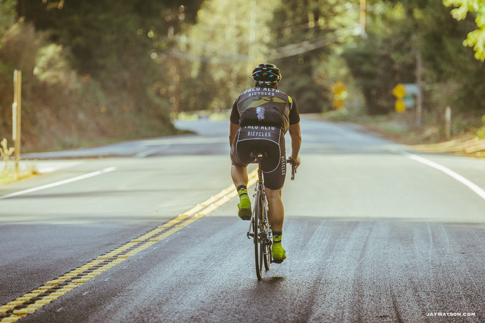 Descent down 84 to Pescadero. "Ride In The Redwoods"
